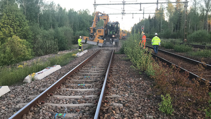 Flera personer i reflexkläder på en grön plätt.